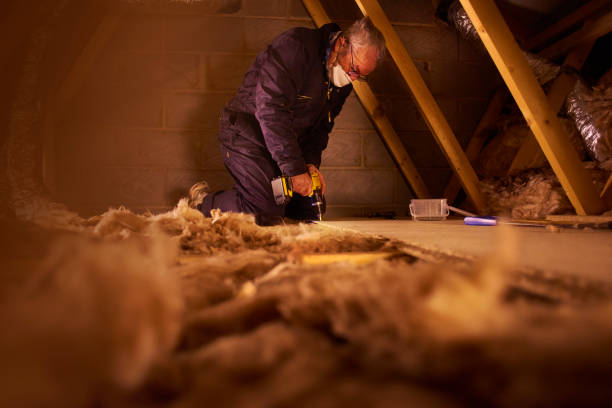 Best Soundproof Insulation  in South Hill, VA